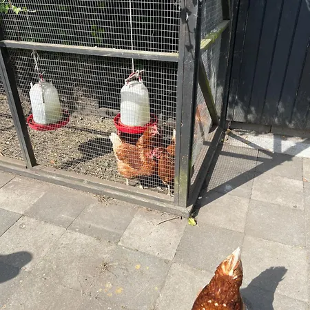 House I The Back House - Free Parking And Coziness Appartamento *