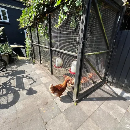 House I The Back House - Free Parking And Coziness *