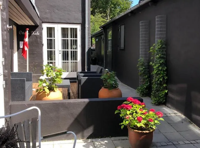 House I The Back House - Free Parking And Coziness 公寓