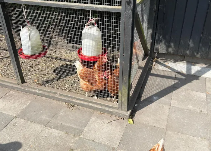 House I The Back House - Free Parking And Coziness Lägenhet *