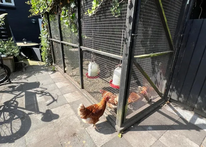 House I The Back House - Free Parking And Coziness *